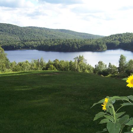 Hummingbird Hill Bed & Breakfast Stoddard Eksteriør bilde