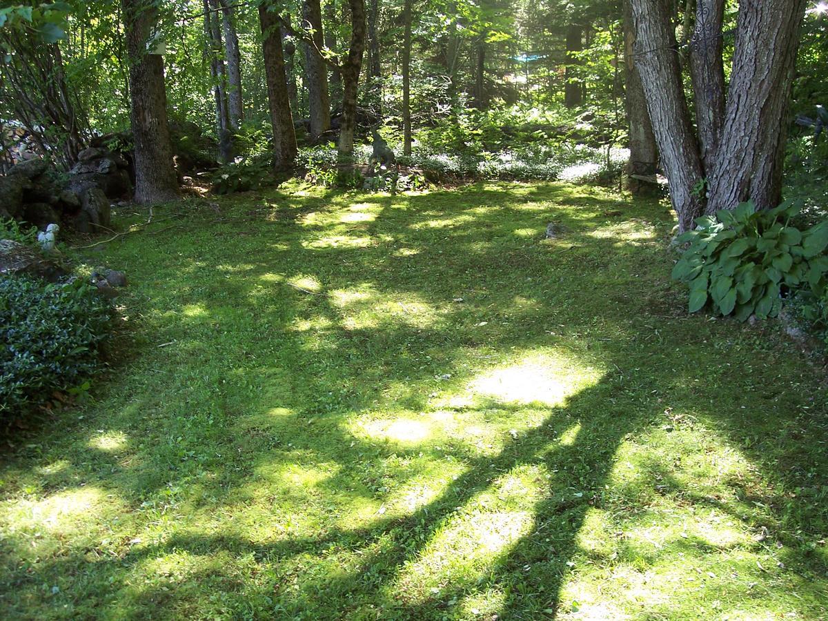 Hummingbird Hill Bed & Breakfast Stoddard Eksteriør bilde