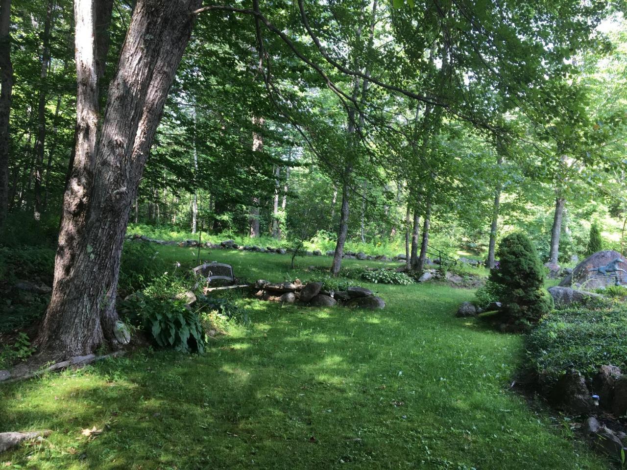 Hummingbird Hill Bed & Breakfast Stoddard Eksteriør bilde