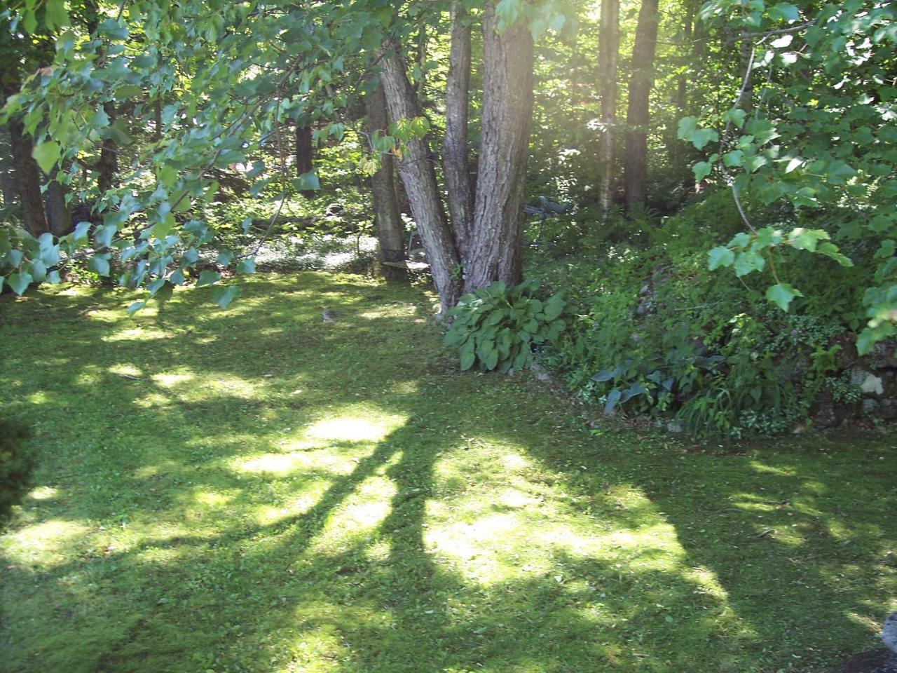 Hummingbird Hill Bed & Breakfast Stoddard Eksteriør bilde