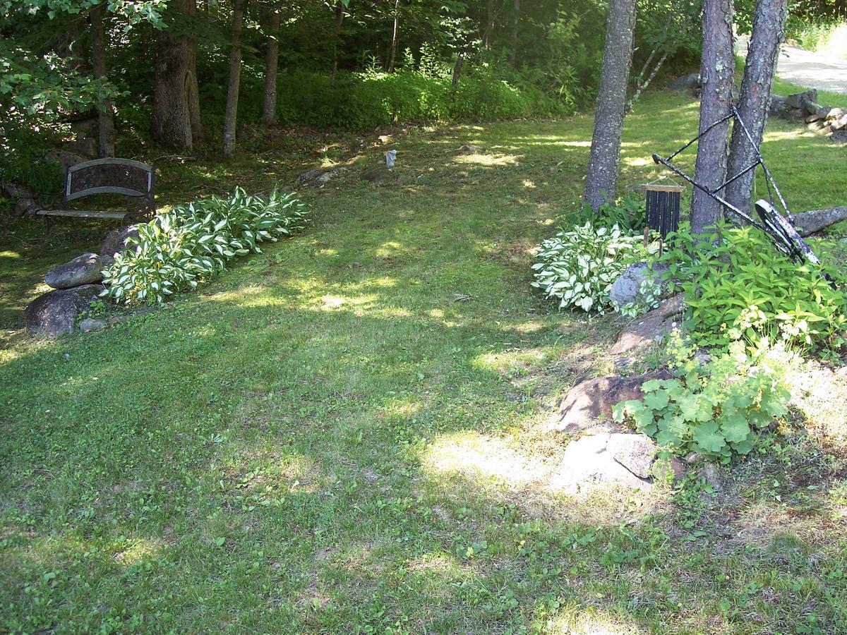 Hummingbird Hill Bed & Breakfast Stoddard Eksteriør bilde