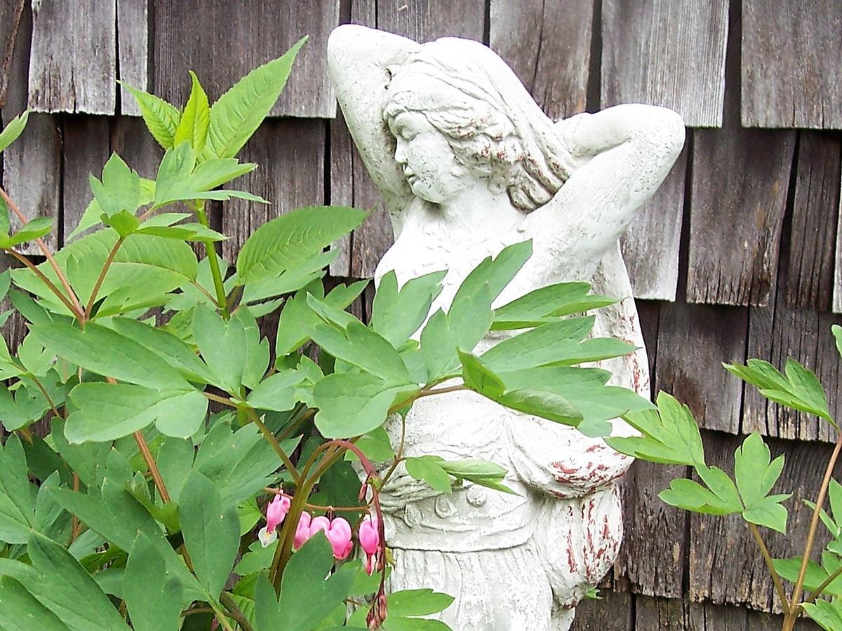 Hummingbird Hill Bed & Breakfast Stoddard Eksteriør bilde
