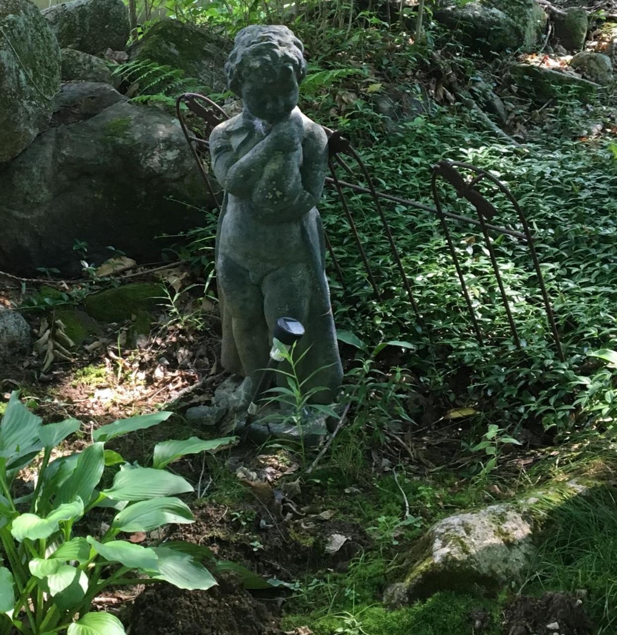 Hummingbird Hill Bed & Breakfast Stoddard Eksteriør bilde