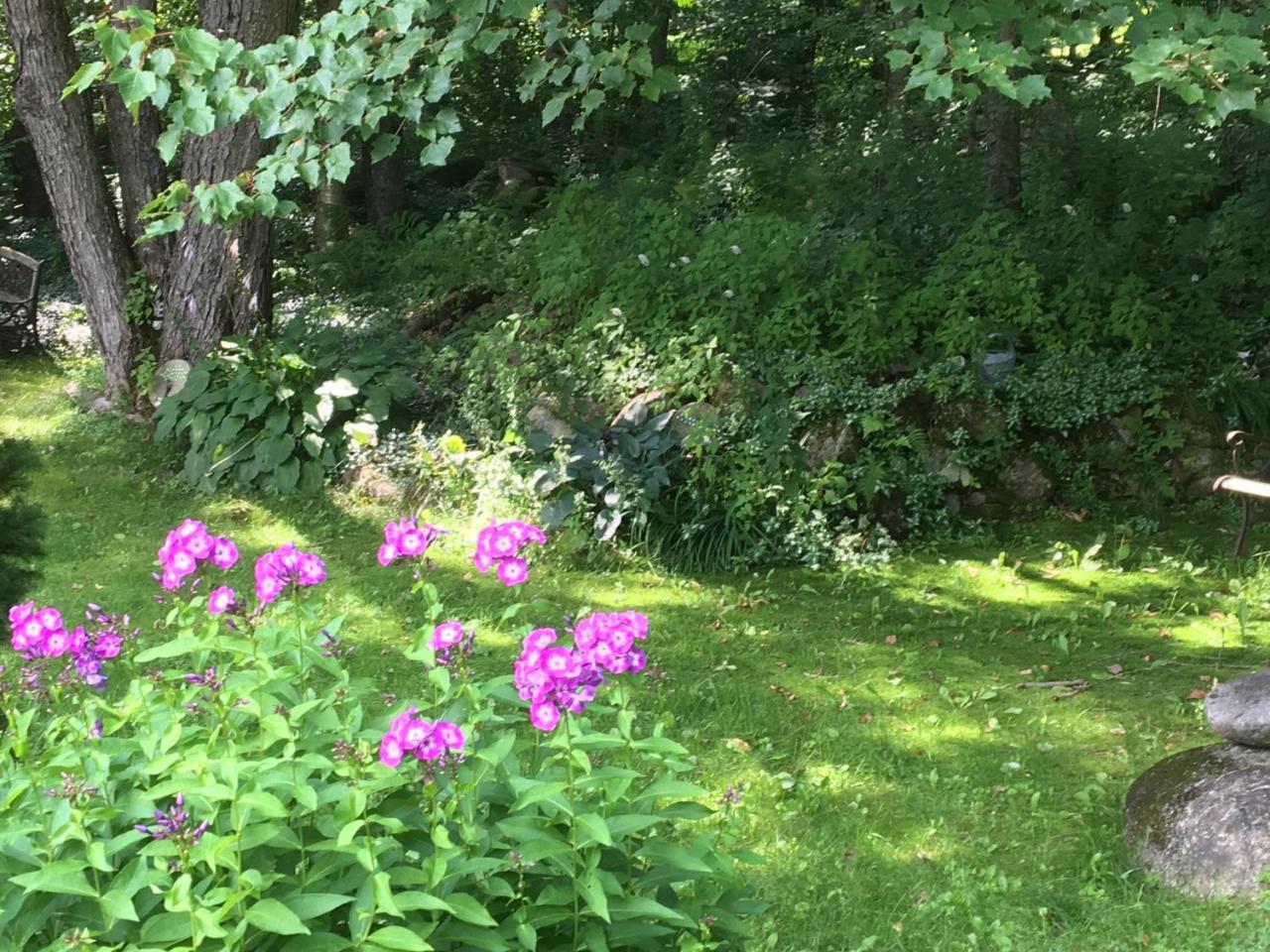 Hummingbird Hill Bed & Breakfast Stoddard Eksteriør bilde